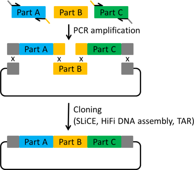 Figure 3.