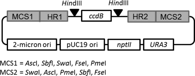 Figure 2.