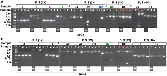 Figure 7