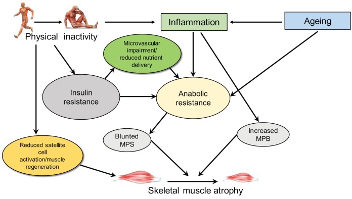 Figure 3.