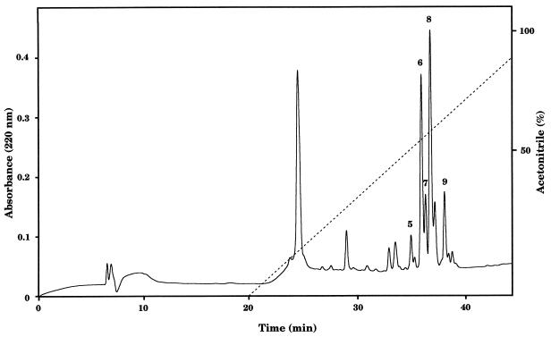 FIG. 3