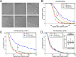 FIGURE 5: