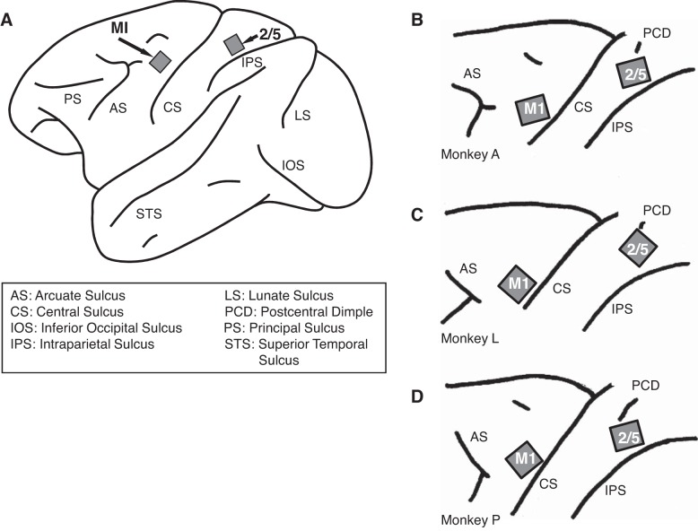 Fig. 2.