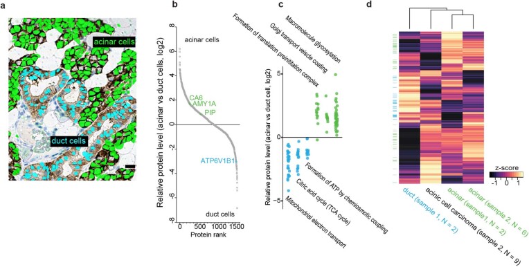 Extended Data Fig. 4