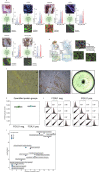 Extended Data Fig. 1