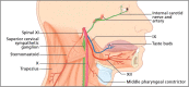 Fig 5