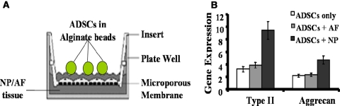 Fig. 5