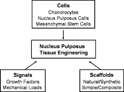 Scheme 1