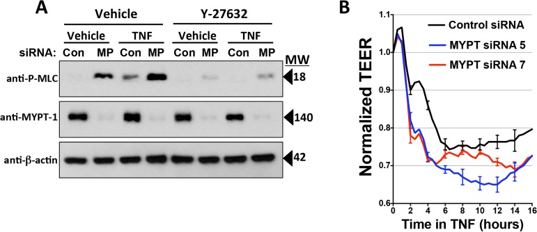 Fig 9