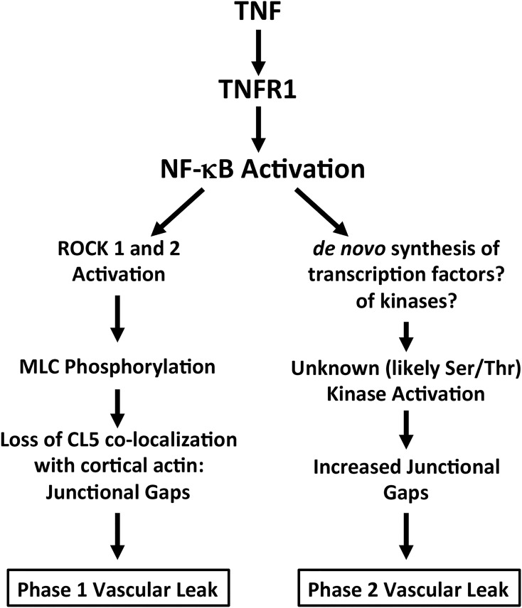 Fig 10