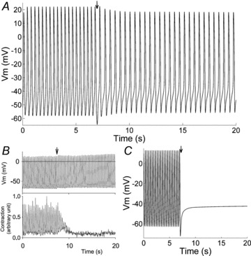 Figure 9