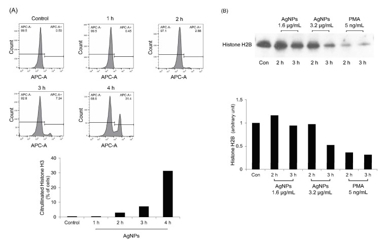 Figure 7