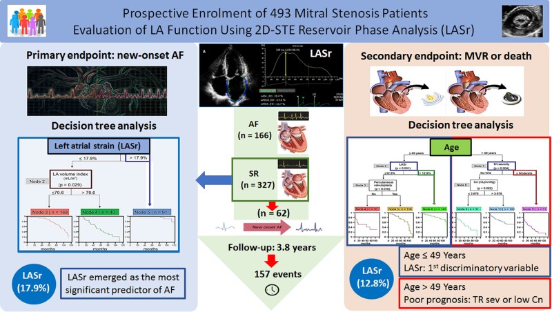 Graphical Abstract