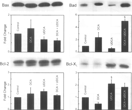 FIG. 6