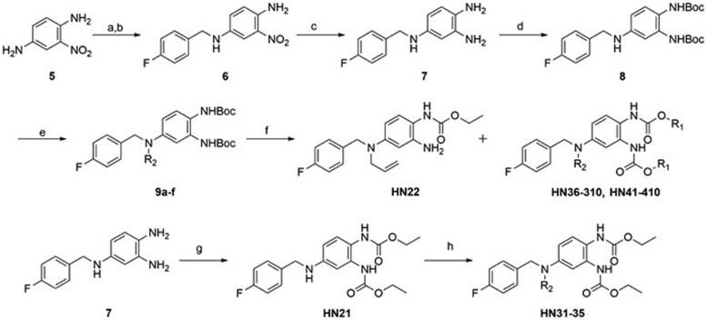 Scheme 1