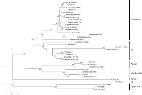 Figure 7.