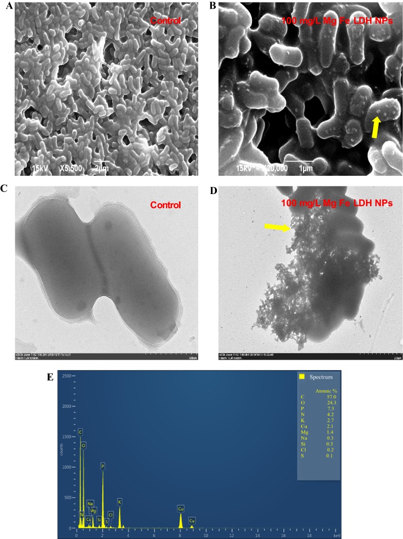 Fig. 3