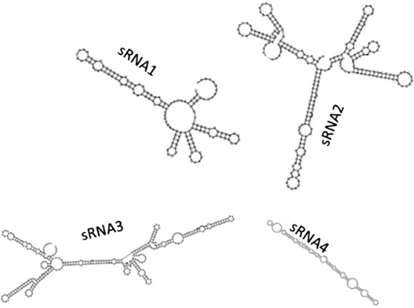 Fig. 8