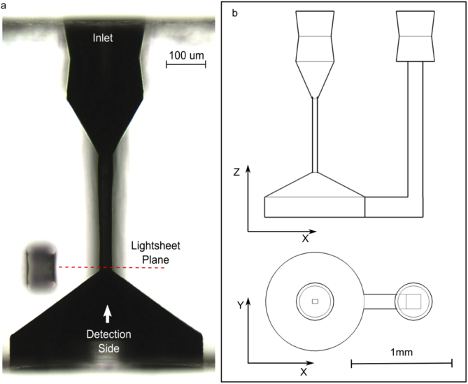 Fig. 2.