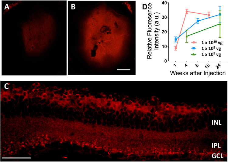 Fig. 2: