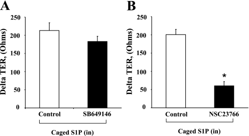 Fig. 9.