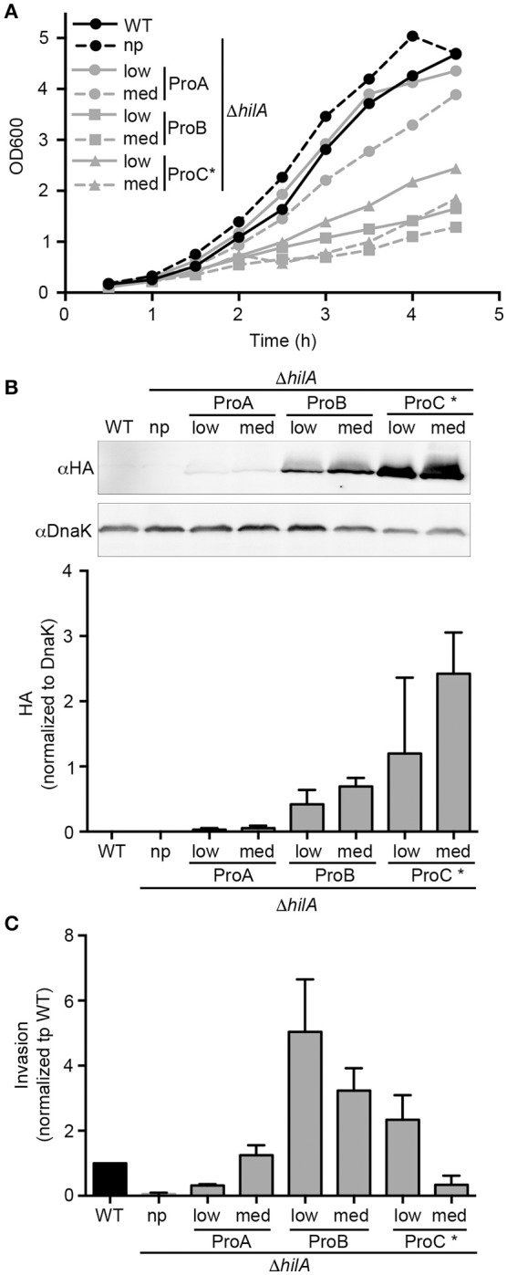 Figure 5