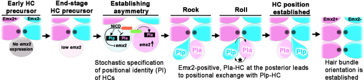 Figure 10.