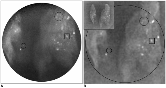 Fig. 8