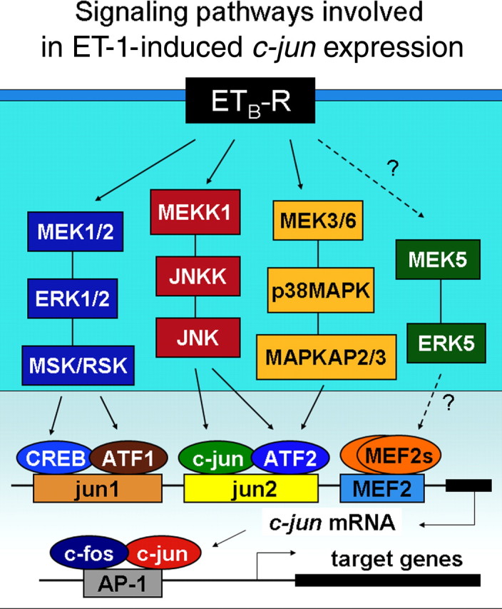 Figure 10.