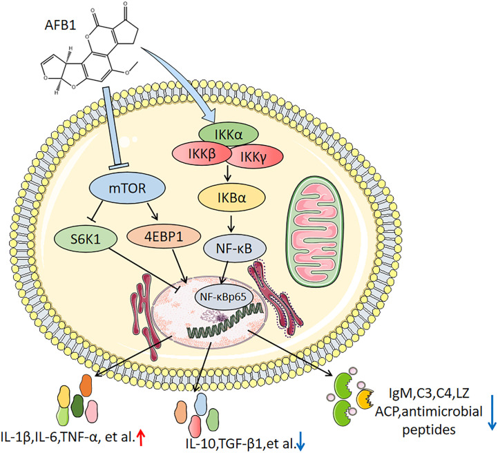 Figure 7