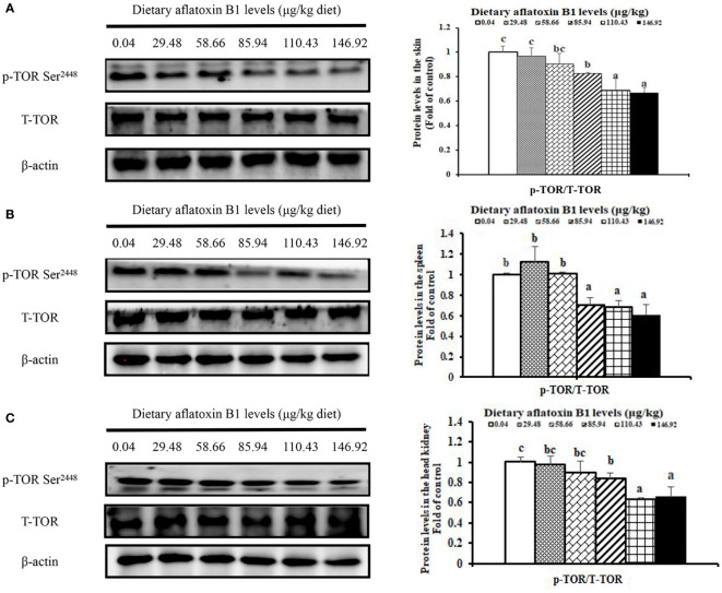 Figure 6