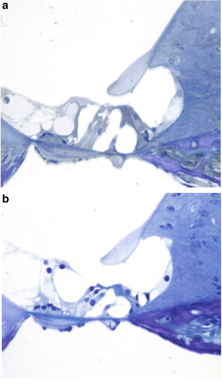 Figure 10.