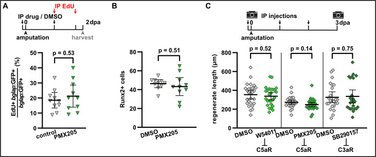 Figure 5—figure supplement 3.