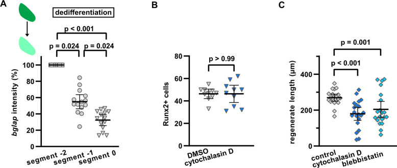 Figure 3—figure supplement 1.