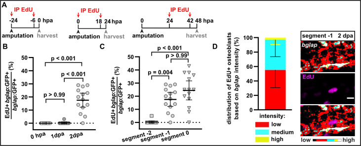 Figure 5—figure supplement 2.