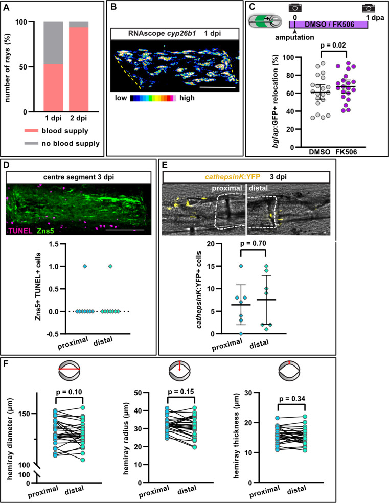 Figure 6—figure supplement 1.