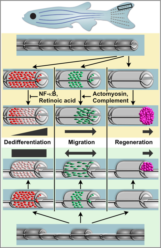 Figure 7.