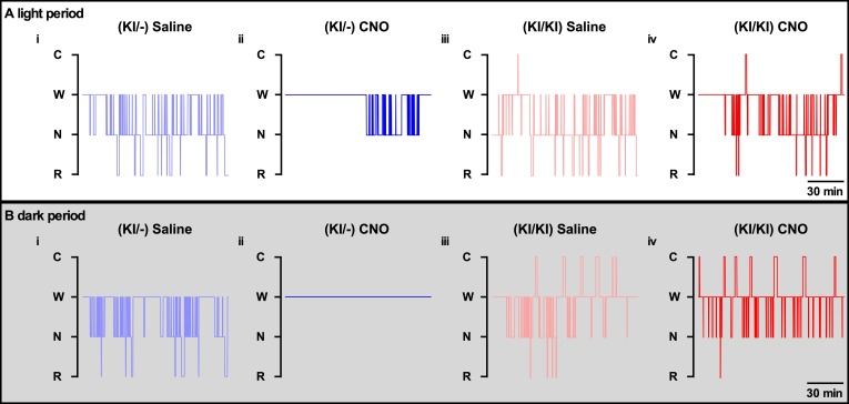 Figure 7—figure supplement 1.