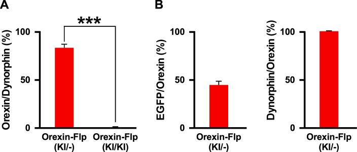 Figure 3—figure supplement 1.