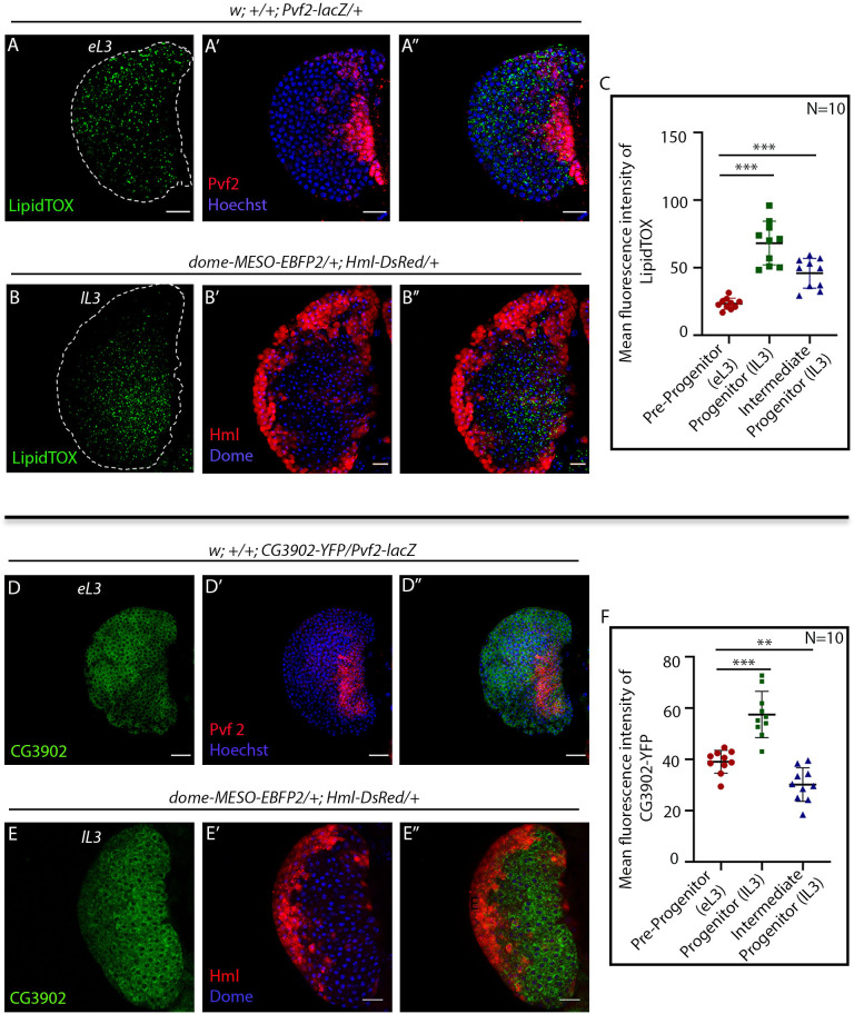 Figure 1—figure supplement 2.