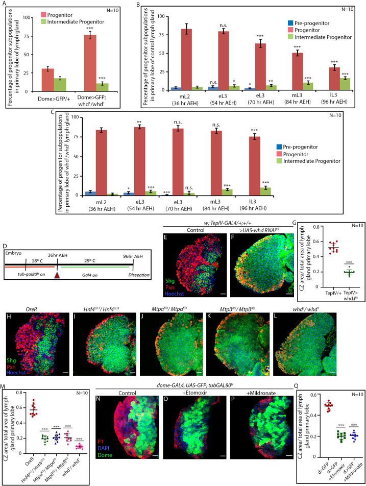 Figure 2—figure supplement 1.