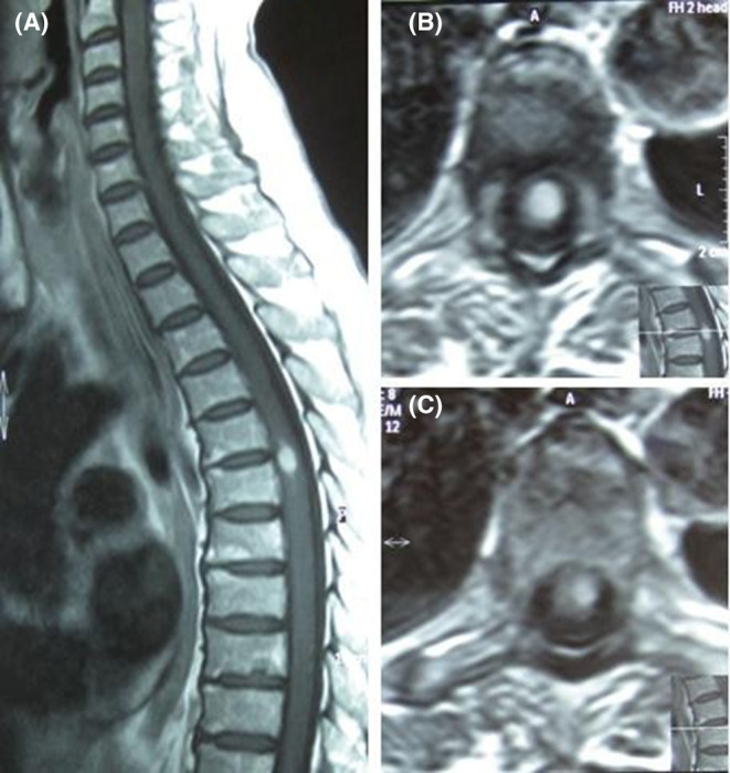 FIGURE 3