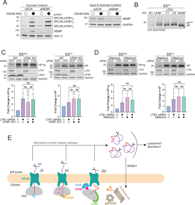 Figure 5: