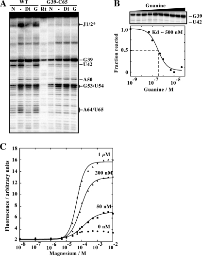 FIGURE 2.