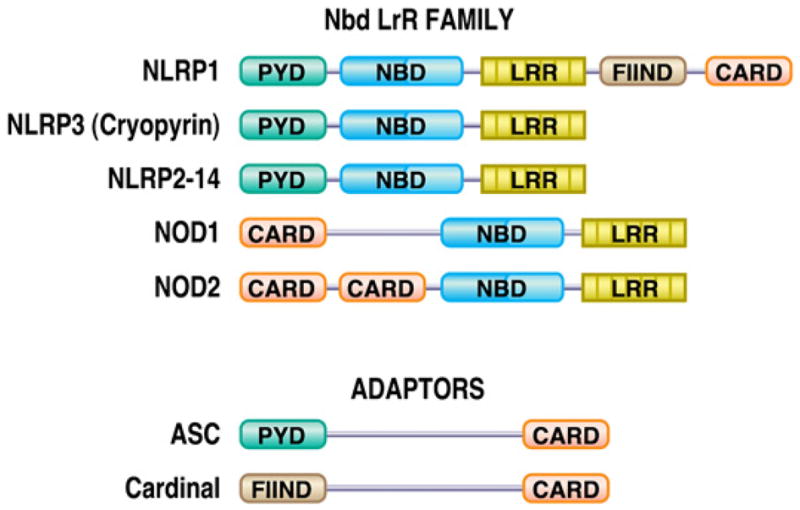 FIG. 4