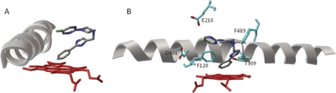 Fig. 9.