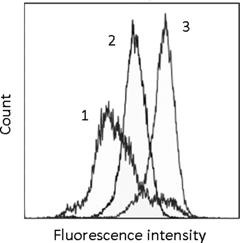 FIG. 1.