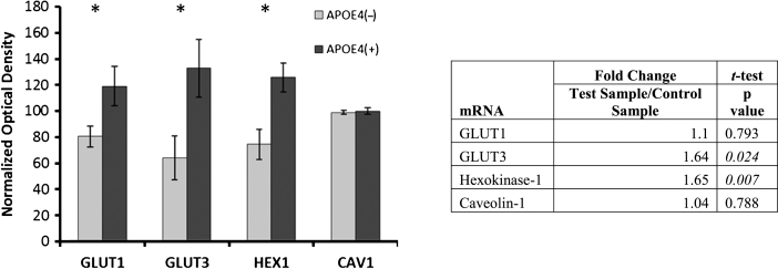 Fig.2