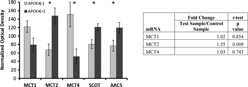 Fig.3