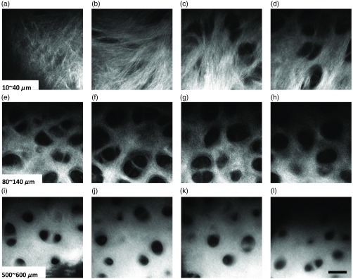 Fig. 11